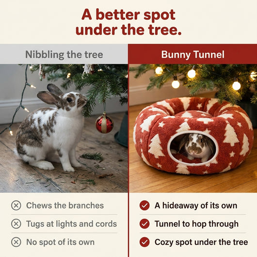 Christmas tree pet tunnel