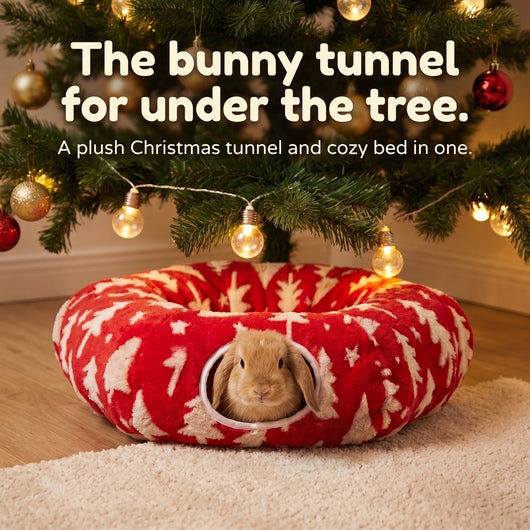 Christmas tree pet tunnel